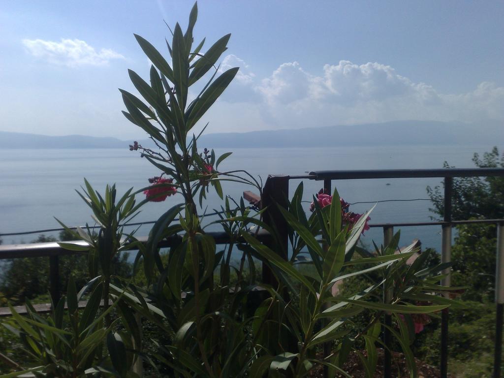Sonce Guest House Ohri Dış mekan fotoğraf